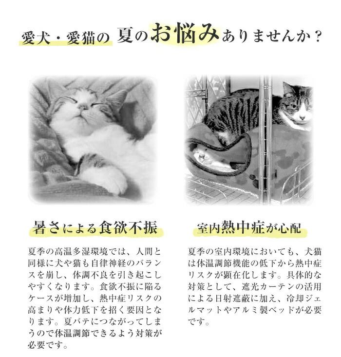 アルミ ひんやり 猫鍋 冷感 夏用 猫 鍋 ひんやりクール猫鍋 猫耳 猫の顔 クーラー 暑さ対策 クール ベッド キャットボウル たらい かわ