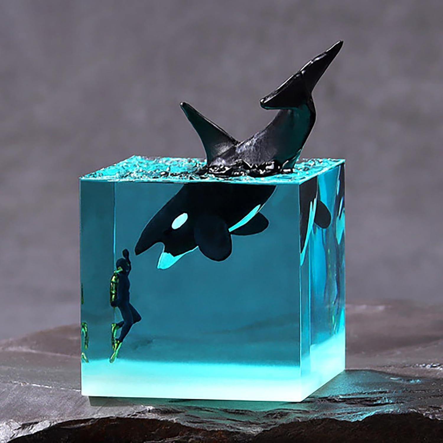 楽天市場】海水魚 生体（インテリア小物・置物｜インテリア・寝具
