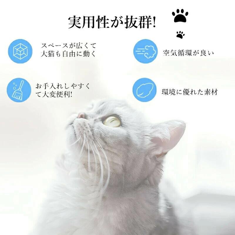サンプル画像2