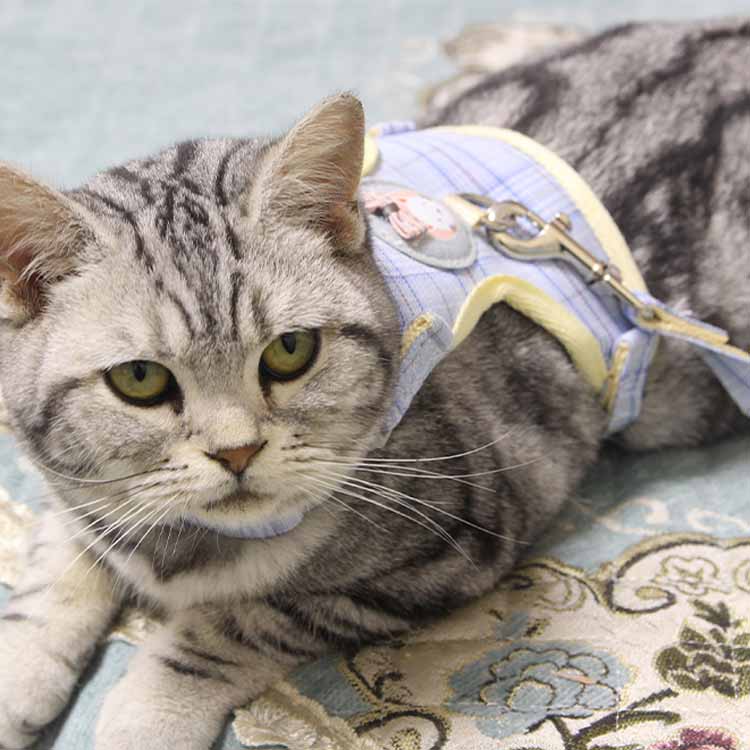 猫 猫用 ハーネス ねこ リード付 ペット ベスト ウェアハーネス キャット ドッグ ...