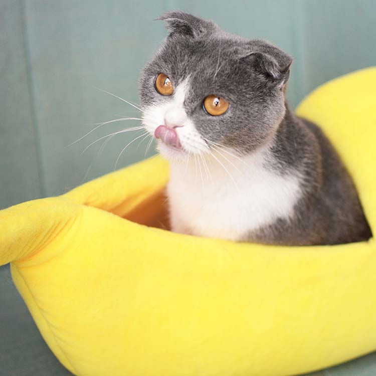 犬の巣 ペットベッド ドッグベッド ペットハウス 猫用 小型犬 ペット用品 かわいい ふわふわ バナナ 保温ドーム型 ペット用ベッド寝具 rsshopp-10015304 RSショップ楽天市場店 サンプル画像2