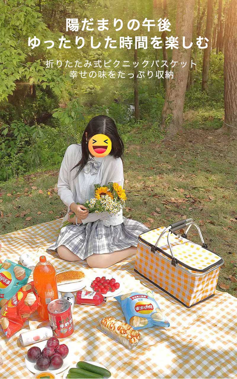 保温ピクニックバスケット 折りたたみ式 アウトドア クーラーバッグ 携帯用 ランチバッグ 手提げ ピクニック ショッピングバスケット 大 2
