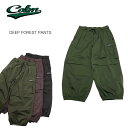 【楽天スーパーSALE商品】カーム スノーボードウェア パンツ CALM DEEP FOREST PANTS ディープ フォレスト パンツ 2レイヤー ストリート 紐ベルト パウダーガード ベルクロ 調節可能 カーゴポケット スノーパンツ スノーウェア 平岡卓 24-25モデル 2024-2025 正規品