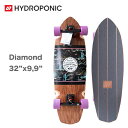 XP[g{[h nCh|jbN Hydroponic Rv[g Surfskate Complete Diamond 32C` Cactus XP{[ T[tXP[g _Ch ^[ ] nChtHjbN A[o X|[c HP-L0129-03 Ki