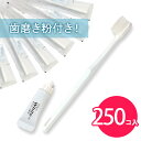 使い捨て歯ブラシ 歯ブラシ 業務用 ホテル 使い捨て アメニティ 業務用歯ブラシ 250本 ハミガキ粉チューブ 業務用使い捨て 日本製 国産 個包装