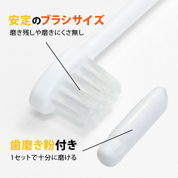 使い捨て歯ブラシ 歯ブラシ 使い捨て 業務用 ホテル アメニティ 業務用歯ブラシ 100本入り ハミガキ粉チューブ 業務用使い捨て あす楽対応 日本製 国産 個包装 2