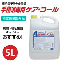 アルコール 手指消毒 消毒 消毒液 業務用 日本製 指定医薬