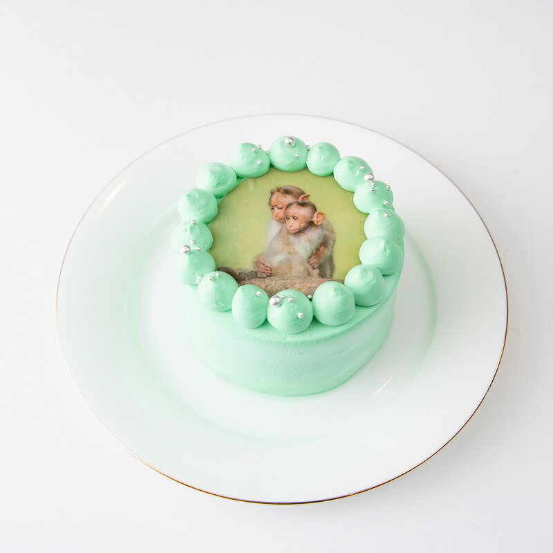 パステルカラー写真ケーキ 選べる8色 誕生日ケーキや記念日などのお祝いに プリントケーキ バースデーケーキ 3号 パステルカラー 写真ケーキ あす楽 1 2名様向け 商い