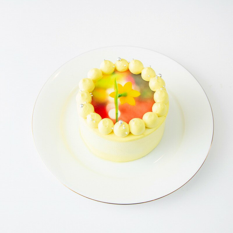 パステルカラー写真ケーキ 選べる8色 誕生日ケーキや記念日などのお祝いに プリントケーキ バースデーケーキ 3号 パステルカラー 写真ケーキ あす楽 1 2名様向け 商い