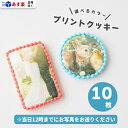 プリントクッキー 10枚 ( 丸型6cm or 長方形8cm×5cm )【 プリントクッキー メッセージクッキー フォトクッキー クッキー ギフト あす楽 かわいい 可愛い 丸 丸形 四角 長方形 誕生日 お祝い 記念日 プライズ 父の日 敬老の日 】