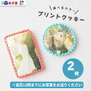 写真入りスイーツ・お菓子 プリントクッキー 2枚 ( 丸型6cm or 長方形8cm×5cm ）【 プリントクッキー メッセージクッキー フォトクッキー クッキー ギフト あす楽 かわいい 可愛い 丸 丸形 四角 長方形 誕生日 お祝い 記念日 プライズ 父の日 敬老の日 】