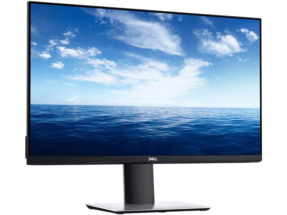 DELL P2419HC プロフェッショナルシリーズ 23.8インチUSB-Cモニタ(良品先出しサービス保証付き)