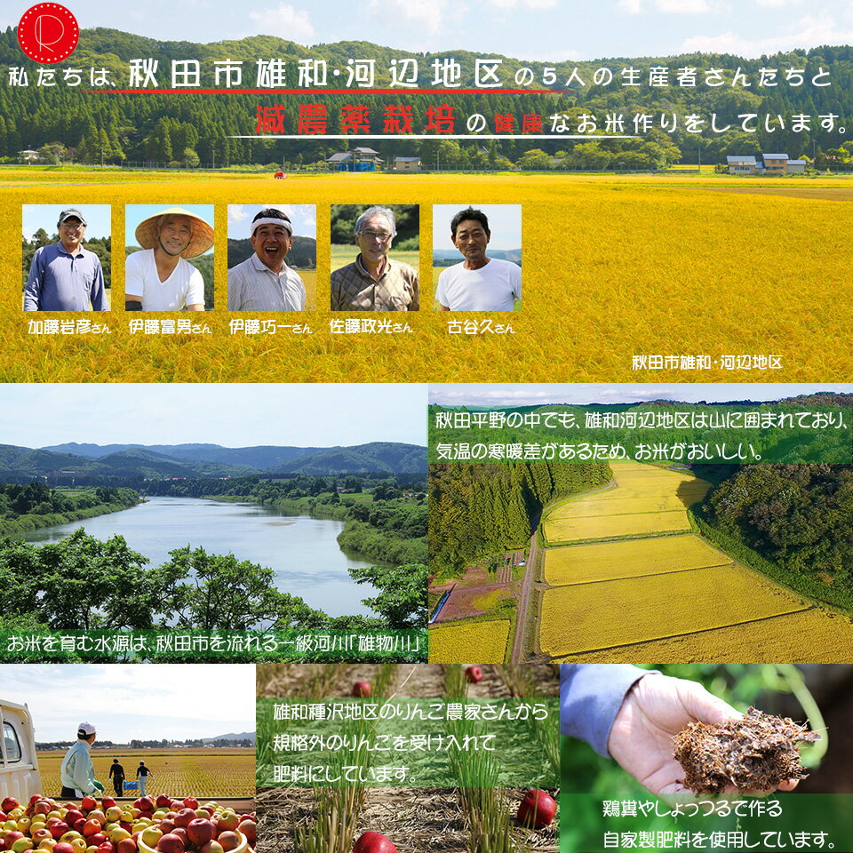【新米】令和3年 特別栽培米 ≪10kg≫ 秋田県産 あきたこまち 白米 無洗米 玄米