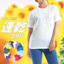 tシャツ レディース 半袖 メッシュt