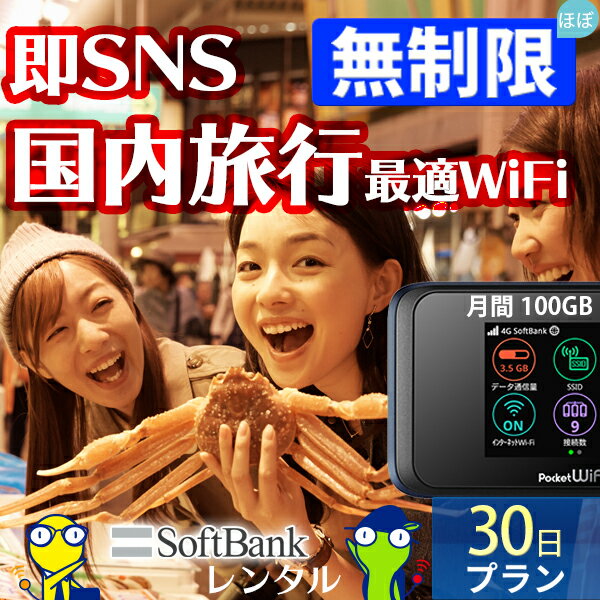 WiFi レンタル 30日 即日発送 レンタルwifi レン