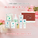 母の日 プレゼント RUKEN ギフトセット 2025 美容 選べる 花以外 母 義母 自分用 ギフト ギフトボックス