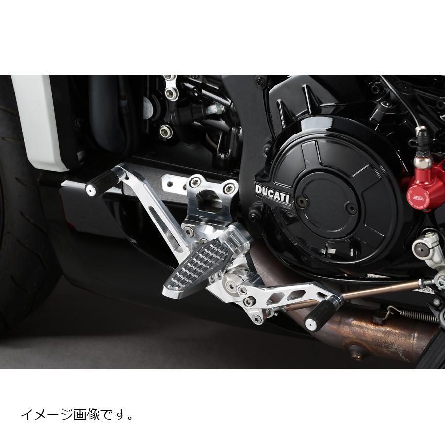 AELLA(アエラ) ライディングステップキット WH X DIAVEL 16- AE-10080 WH