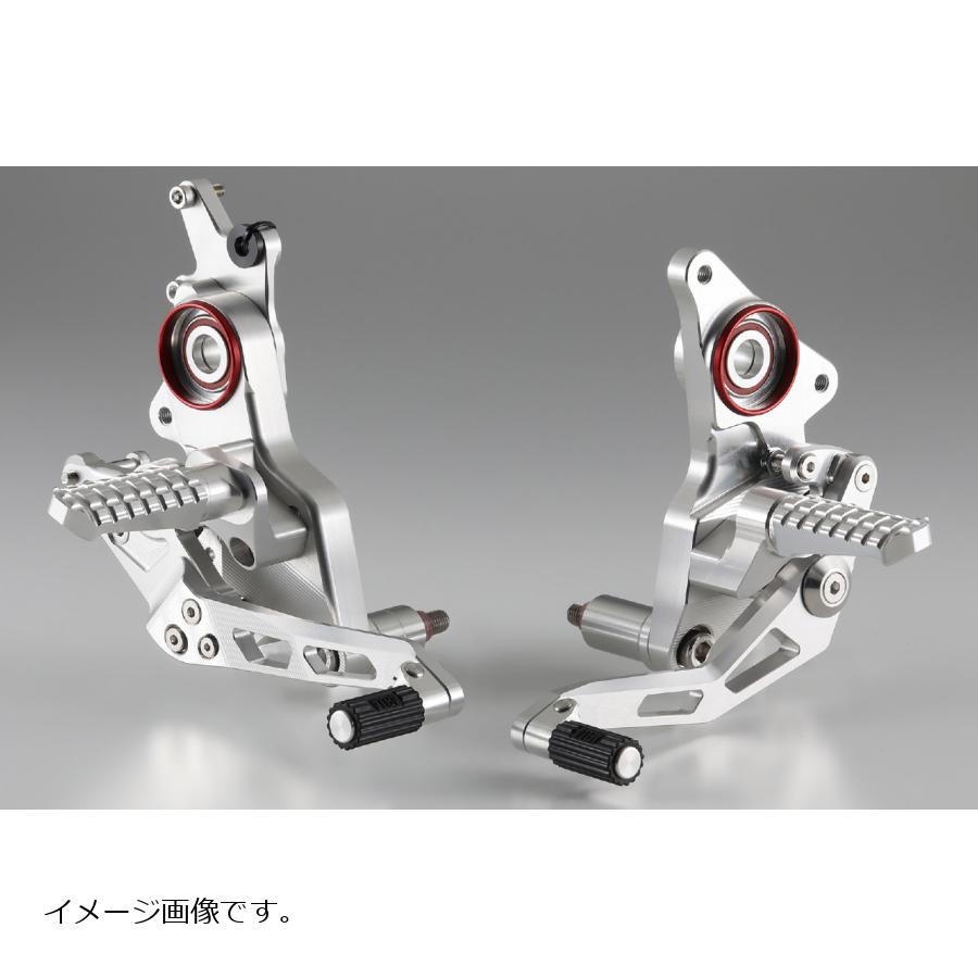 AELLA(アエラ) ステップ ホワイト HYPERMOTARD950 AE-10094 WT