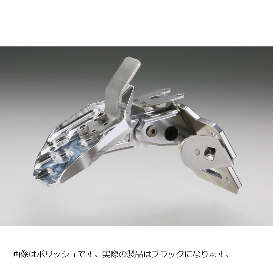 AELLA(アエラ) ショートナンバープレートホルダー ブラック DUCATI PanigaleV4/V4S/V4R/V2 StreetFighterV4 AE-74021