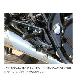 BABY FACE (ベビーフェイス) バックステップ 1ポジション 正チェンジ シルバー CB1100 002-H030SV