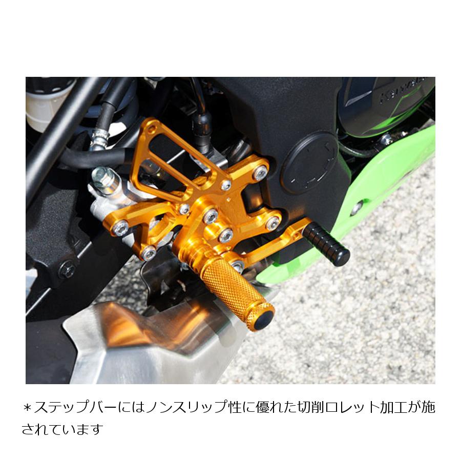 メーカー名：ベビーフェイスメーカー品番：002-K027GD街乗りからスポーツ走行までを楽しめるように、4ポジションからお好みのステップ位置をお選びいただけます。また、サーキット走行等を考え、リバース(逆)チェンジキットもご用意いたしました。 仕上げのカラーは、ブラック、ゴールド、シルバーの3色から選択していただけます。販売備考：チェンジパターン:正、4ポジション、ブレーキスイッチ:Stock適合情報：カワサキ[KAWASAKI] Ninja250SL [ニンジャ250SL] 15-ポジション：4移動量[UP/BACK]：［Up/Back］32.5/32.5、32.5/43.5、47.5/35.5、47.5/46.5シフトパターン[正逆チェンジ]：正チェンジ色[カラー]：ゴールド材質[素材]：アルミニウムスイッチ[有/無]：Stock（ノーマル）◆街乗りからスポーツ走行までを楽しめるように、4ポジションからお好みのステップ位置をお選びいただけます ◆また、サーキット走行等を考え、リバース（逆）チェンジキットもご用意いたしました ◆カラー：ゴールド