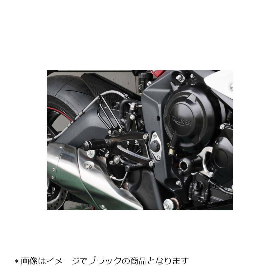 BABY FACE (ベビーフェイス) バックステップ STREET TRIPLE675 ストリートトリプル ABS 6ポジション 正/逆チェンジ可能 ゴールド 002-T006GD