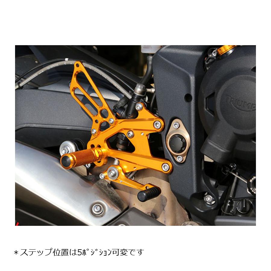BABYFACE (ベビーフェイス) バックステップ ゴールド STREET TRIPLE /R STREET TRIPLE R [ストリートトリプル]002-T008GD