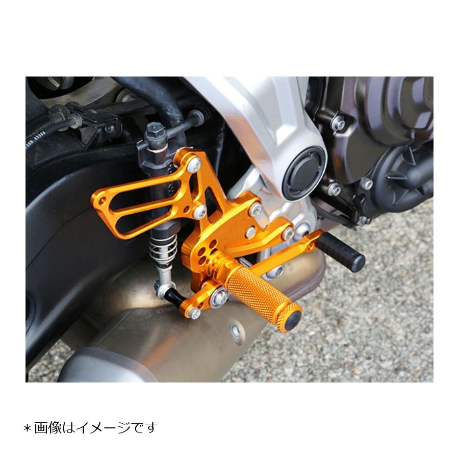 BABY FACE (ベビーフェイス) バックステップ MT-07 ゴールド 002-Y019GD