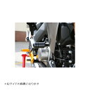BABY FACE (ベビーフェイス) エンジンスライダー Z125 PRO 006-SK025