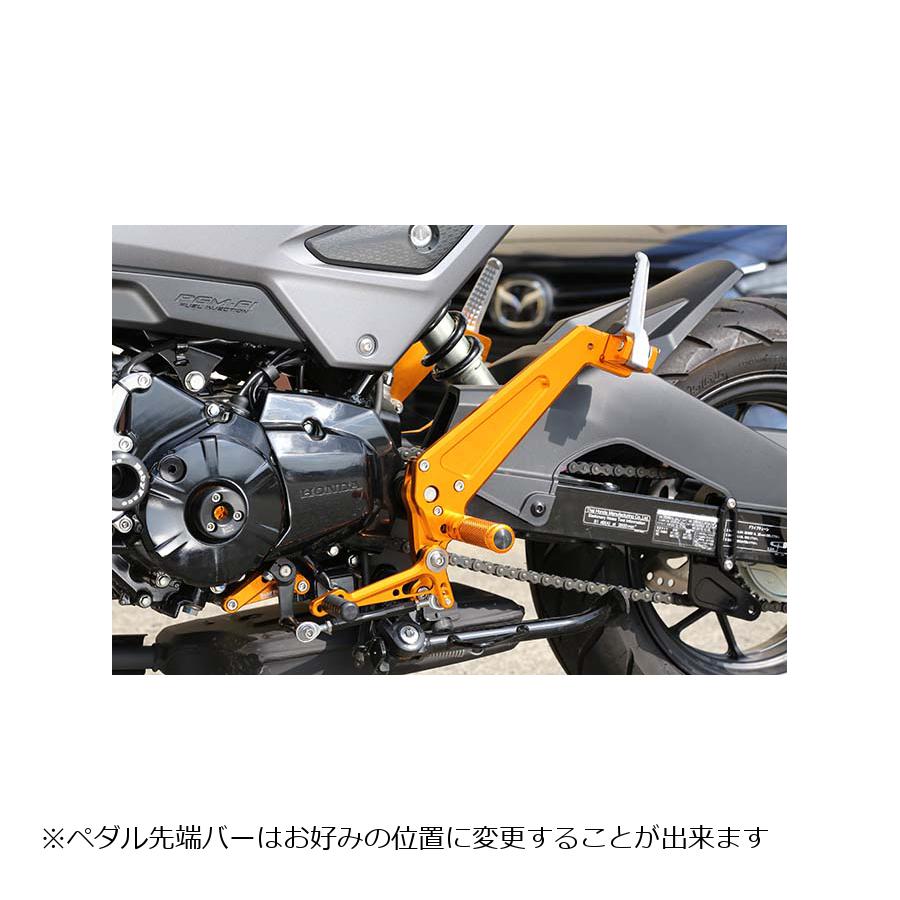 BABY FACE (ベビーフェイス) バックステップキット GROM グロム ゴールド 002-H034GD