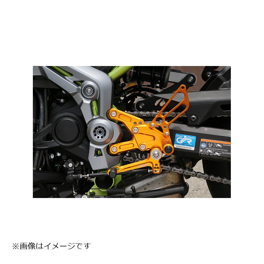 メーカー名：ベビーフェイスメーカー品番：002-K035GD適合情報：カワサキ[KAWASAKI] Z900 ABS付 [ZR900B] 17-カワサキ[KAWASAKI] Z900 ABS無 [ZR900B] 17-