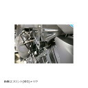 BABY FACE (ベビーフェイス) フレームスライダー リヤマウント K1300R K1200S R 006-SBM01B