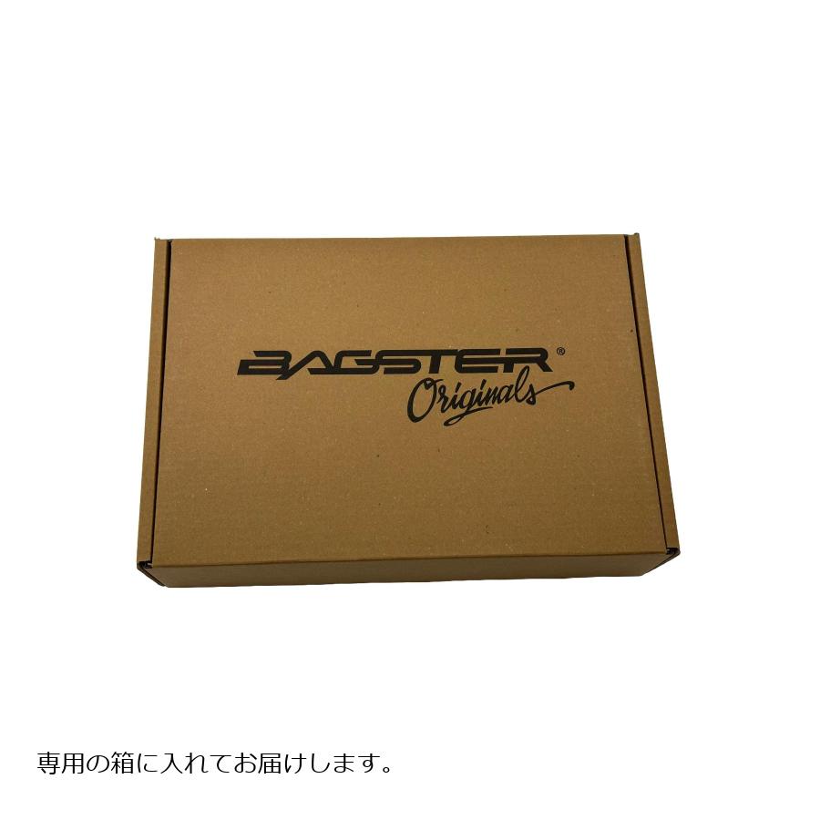 BAGSTER (バグスター) タンクパネル XSR900 16-20 XTP070 3