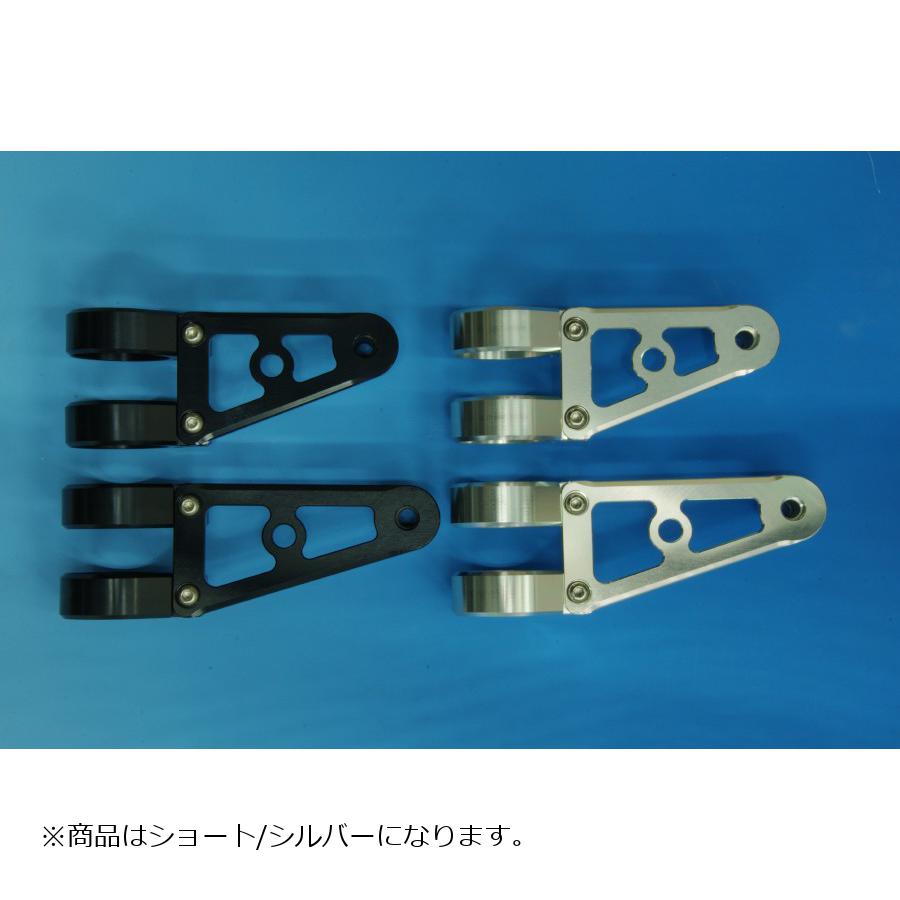 ウッドストック,ヘッドライトステー,Dタイプ,ショート/SLV,フォーク径φ36用,WLS-D36S-SL