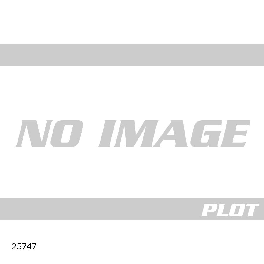 Daytona (�ǥ��ȥ�) FRP�ե�������쥹 CB1300SF 25747