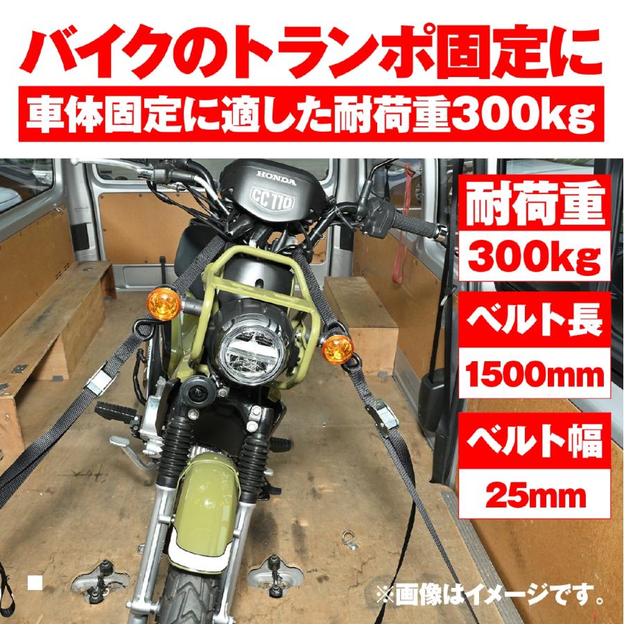 バイクパーツ・用品 ラバーマークのDaytona (デイトナ) タイダウンベルトカムバックル 1500 ブラック 42023｜アングル3