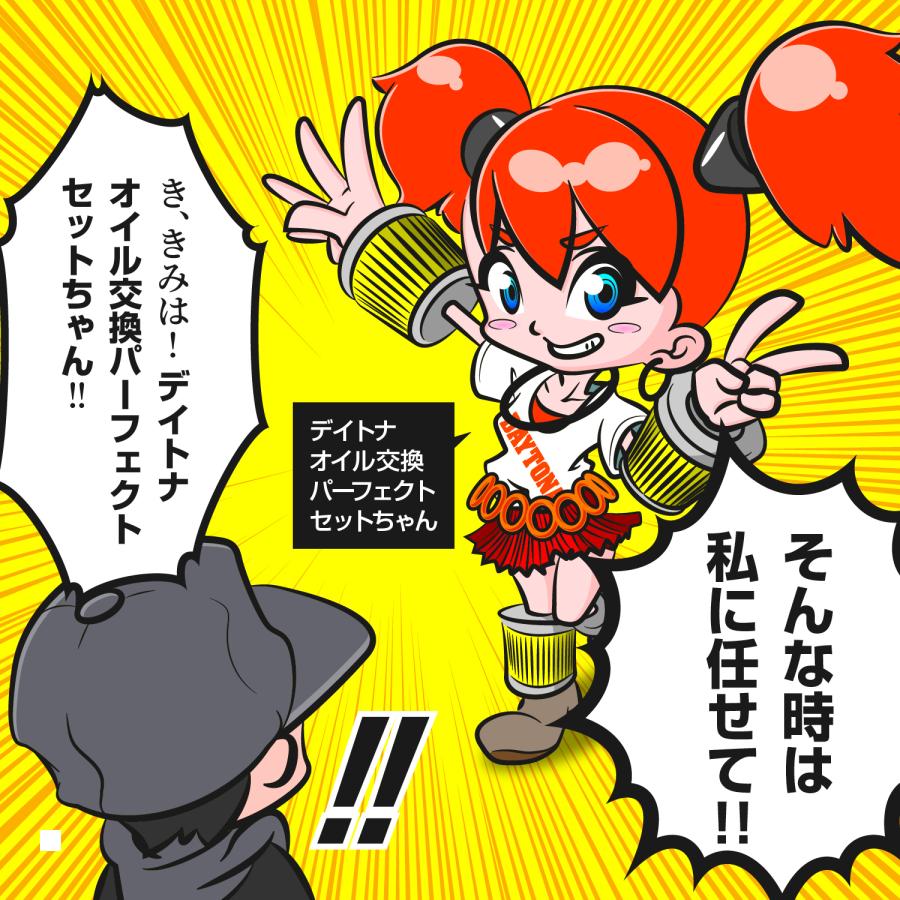 Daytona (�ǥ��ȥ�) ������򴹥ѡ��ե����ȥ��å� S49 10�� 48460