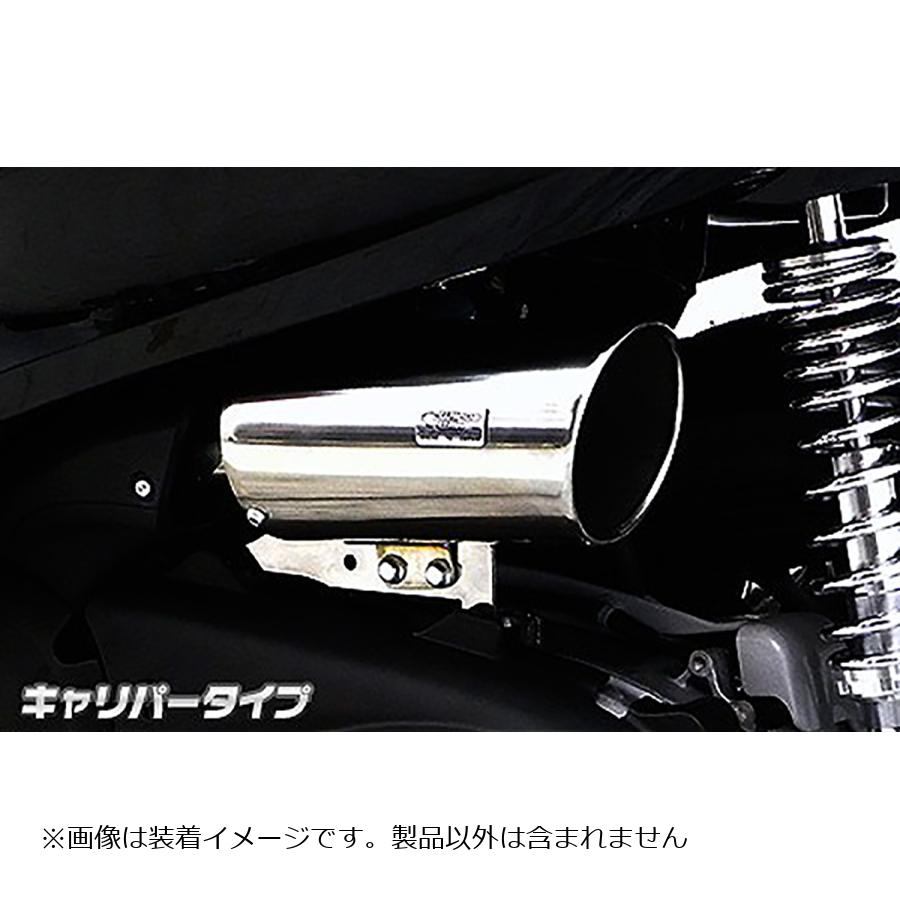ウイルズウィン エアクリーナー/キャリパー FORZA Si(MF12) 1364-03-01