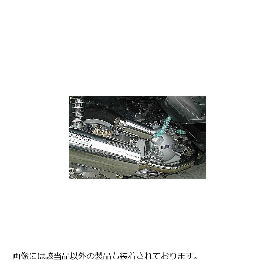 Air Cleaner - ウイルズウィン インジェクタータンク サイレンサータイプ MAJESTY250(5GM/SJ) 117-01-01