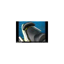 ウイルズウィン バックレスト付タンデムバー ブライアント/32/L MAJESTY125/Rスポ 143-31-01