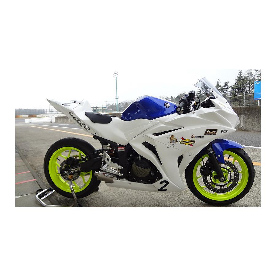 STRIKER(ストライカー) レーシングコンセプトTYPE2 ステン/チタン YZF-R25