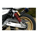 STRIKER(ストライカー) カーボンリヤフェンダー リアフェンダー CB1300SF CB1300SB/ABS SAD-RF53C