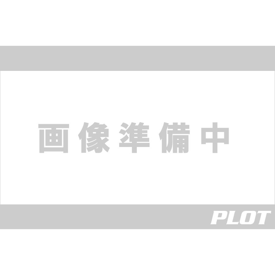 SP武川 (SPタケガワ) φ48スモールDN タコメーター レブインジケータ付 CL250(MC57-)/CL500(PC68) 05-05-0118