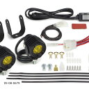 SP武川 (SPタケガワ) LEDフォグランプキット3.0(950/レモンイエロー)(2個入) SEROW250用(レッグバンパー) 05-08-0679