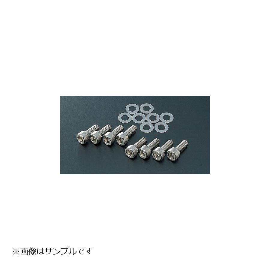 アクティブ キャリパーサポート用ボルト M10X25 P1.25 2本 1470901