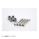 GALE SPEED (ゲイルスピード) オフセットカラー12mm シルバー&Cボルト TRACER900GT(ABS)