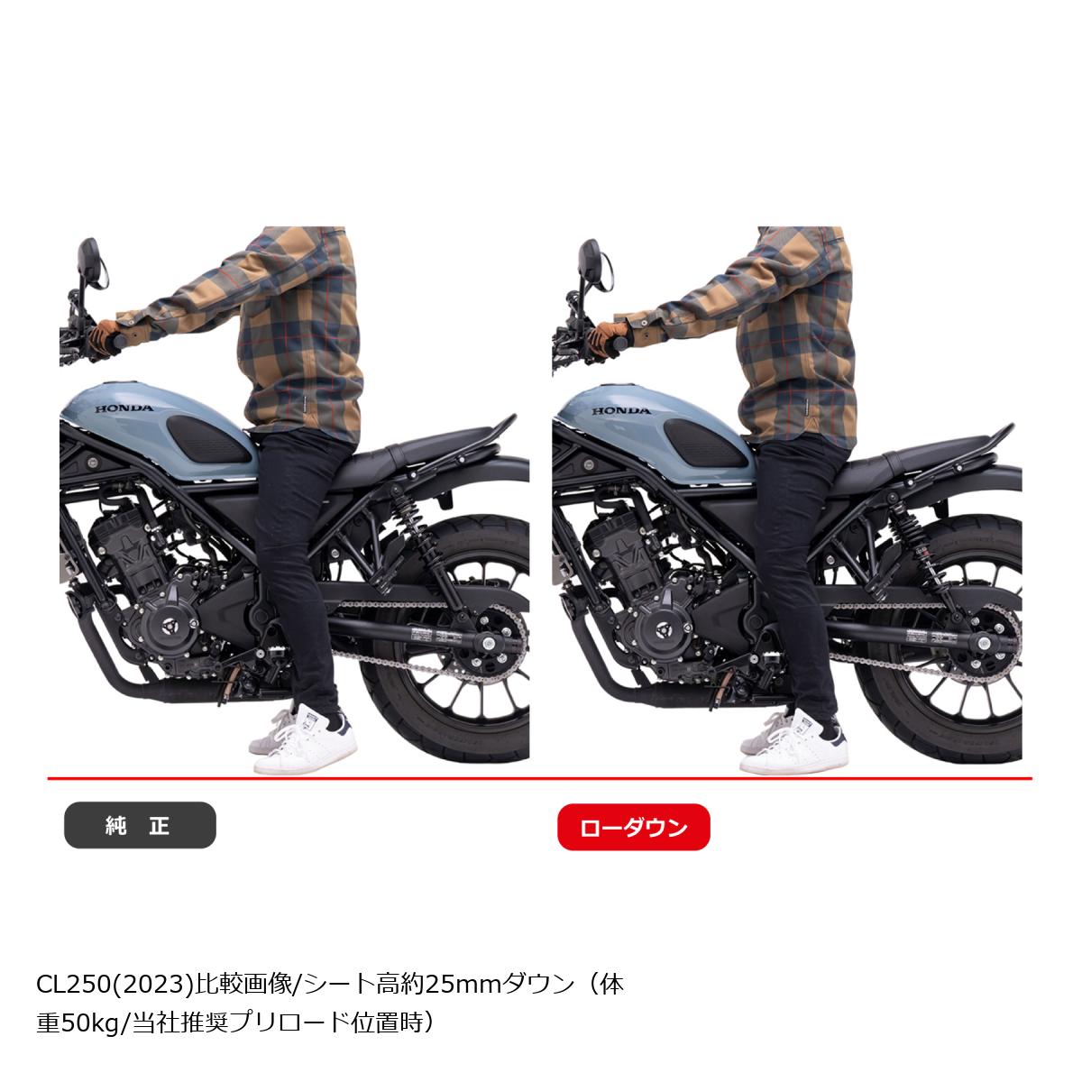 EFFEX (エフェックス) ローダウンCOMPキット 約20mmダウン シルバー/ブラック CL250 PHA0055D-SK-SET