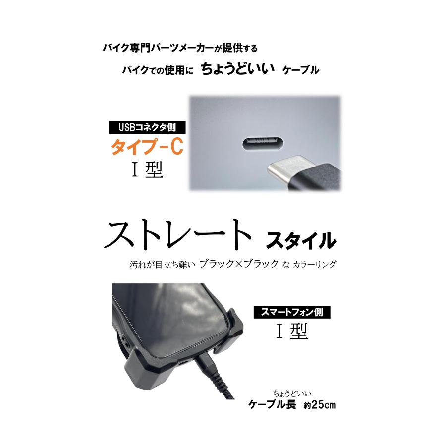 ��ȥץ��˥� USB�����ѥ��硼�ȥ����֥� 3A TYPE-C(I��)��TYPE-C(I��) �֥�å� 324-200-101