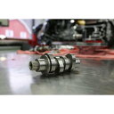 S&Sサイクル チェーンドライブカムシャフトキット 550C M8 17-19 カムチェーン ドライブカムチェーン ドライブカム