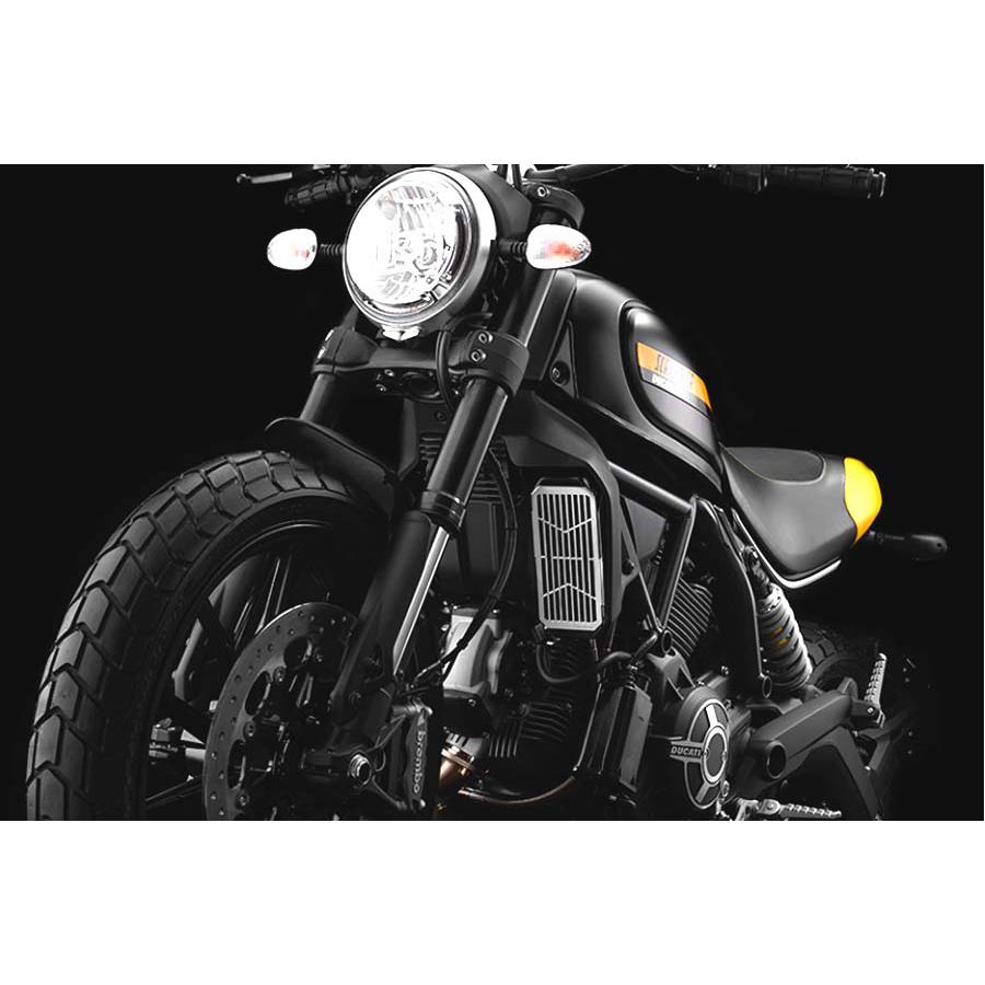 BIKERS (バイカーズ) ステンレス コアガード ドゥカティ スクランブラー DUCATI SCRAMBLER D0037